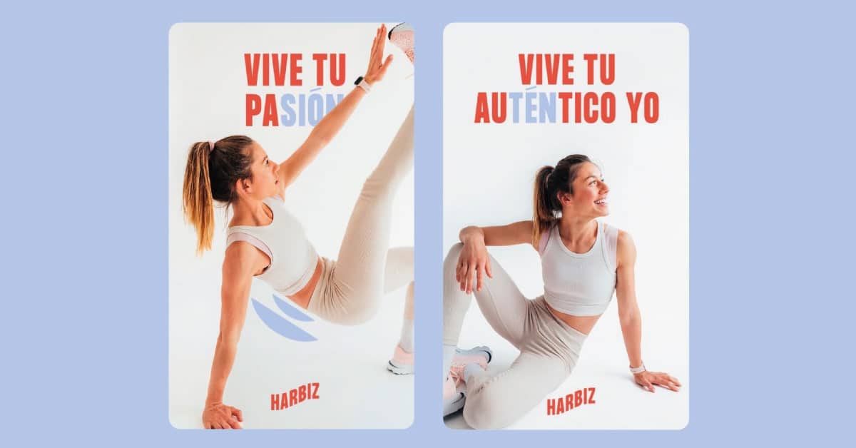 Proyecto Harbiz